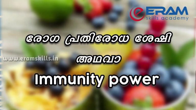 How to improve immunity power